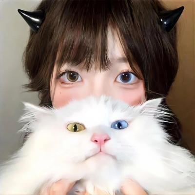 完美姐妹